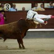 Stier nimmt Torero auf die Hörner
